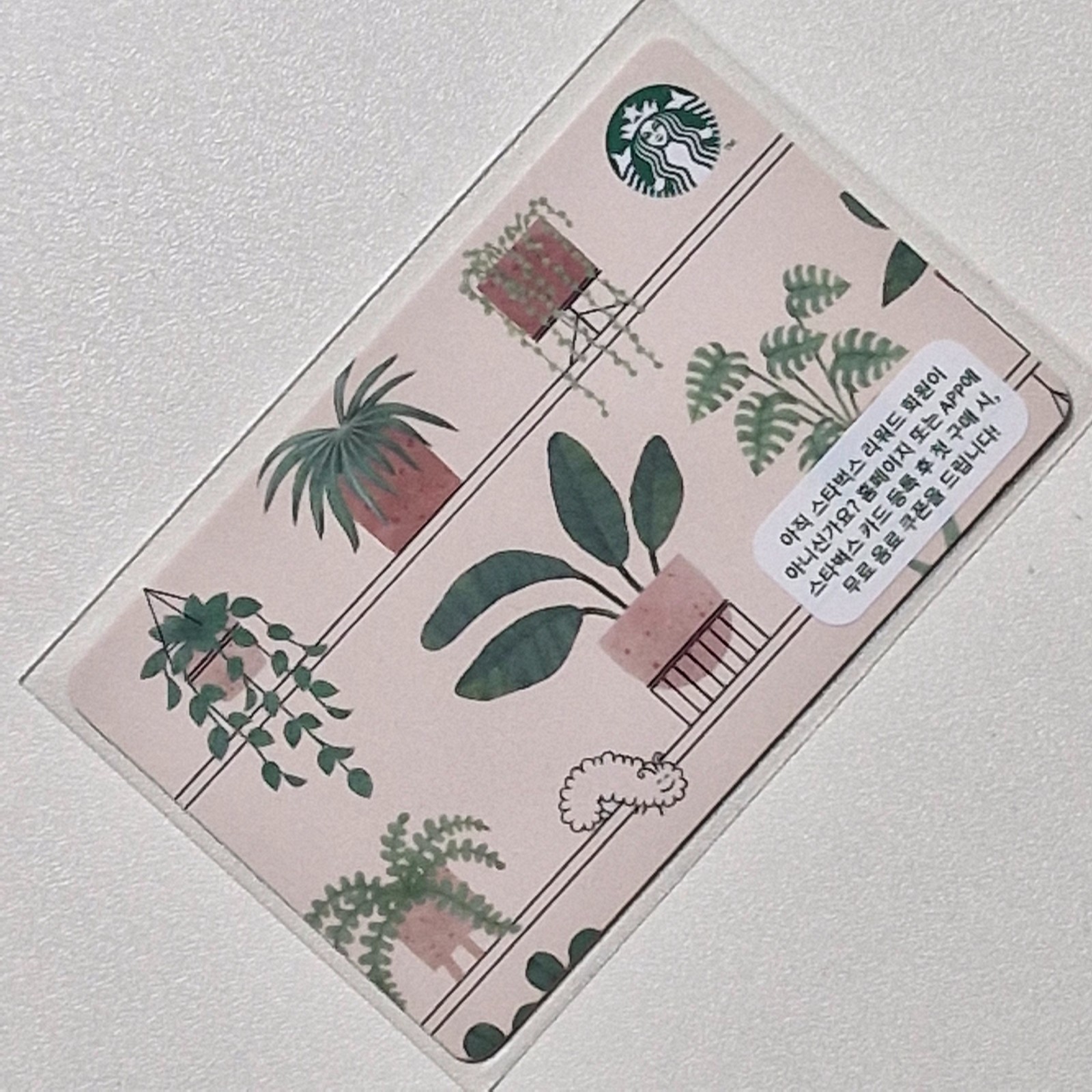 Starbucks Korea Card – Plants – 2021
