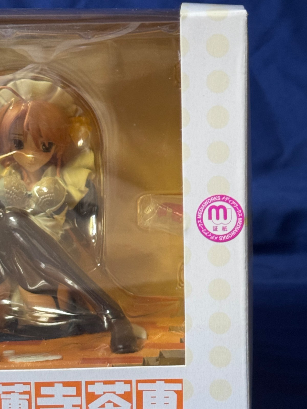 Fine Scenery Colorful Education Myorenji Sae 1/8 PVC Figure by Toranoana