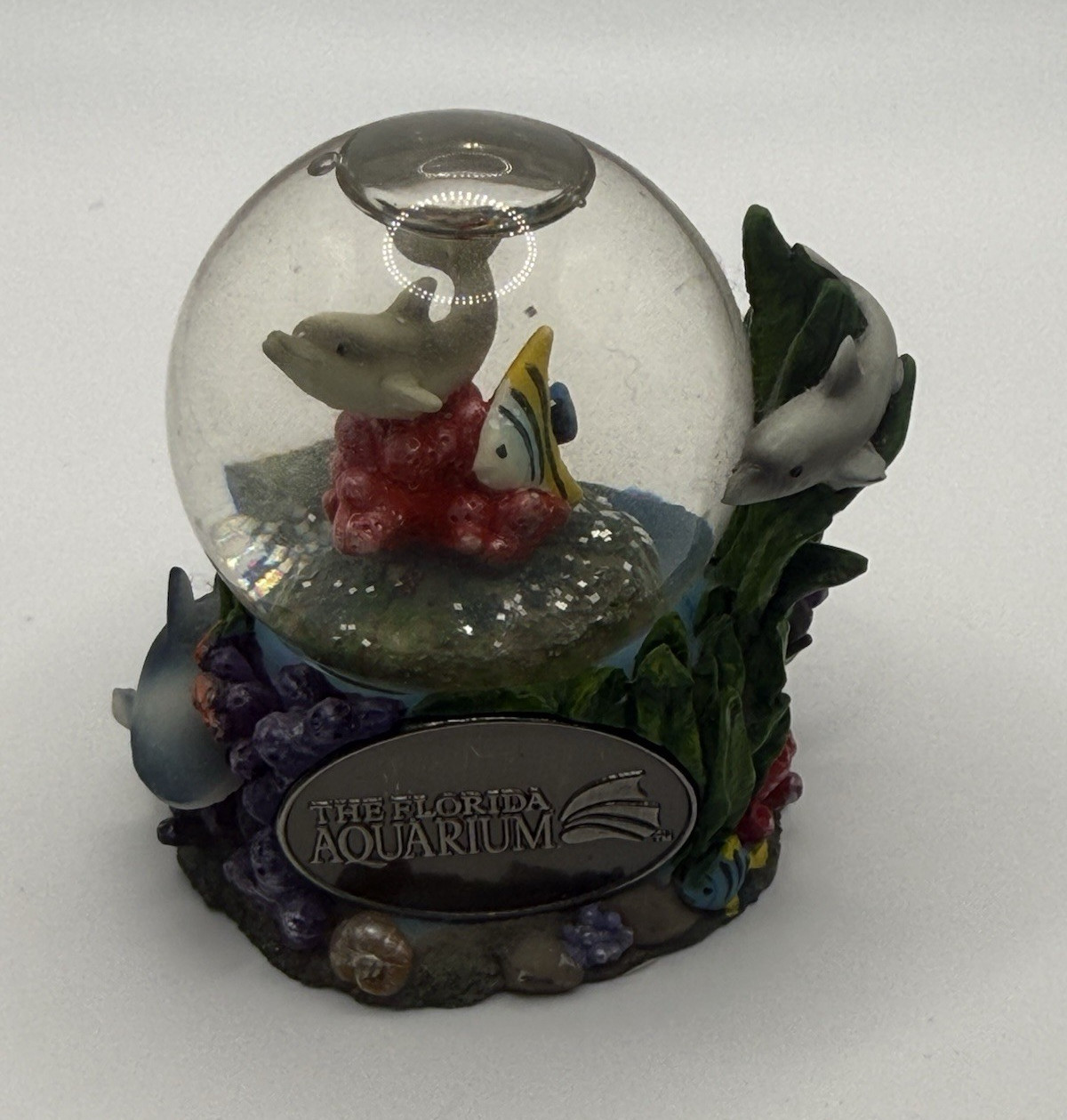 The Florida Aquarium Dolphin Snow Globe Glitter Water-Filled Glass Resin Round