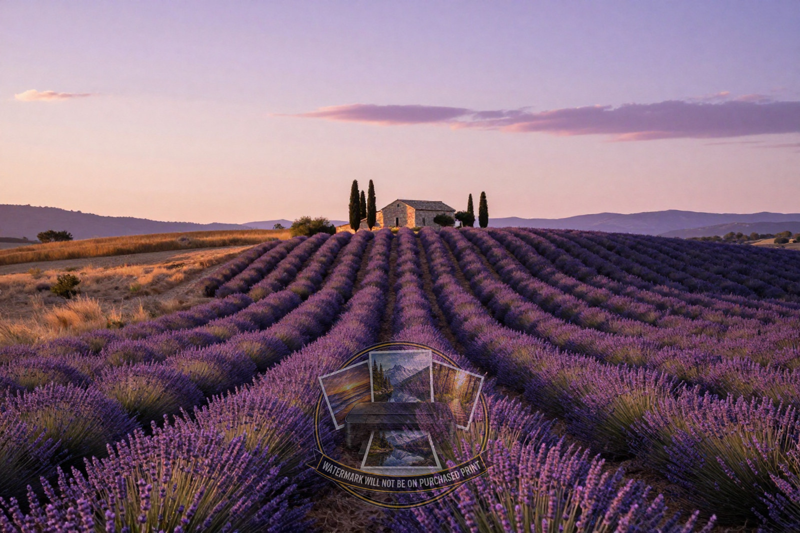 Rolling Lavender Fields Provence Purple Gold Neat Wall Art 4X6 Fantasy Photo