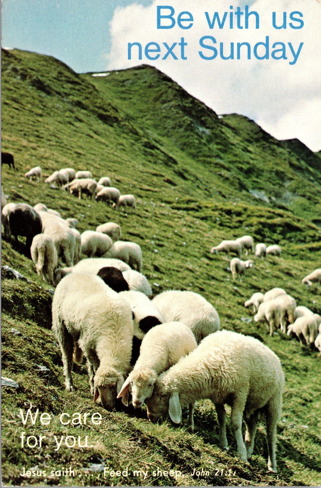 Postcard Religious Sheep grazing on hill invitation to worship 1982 Ephrata PA