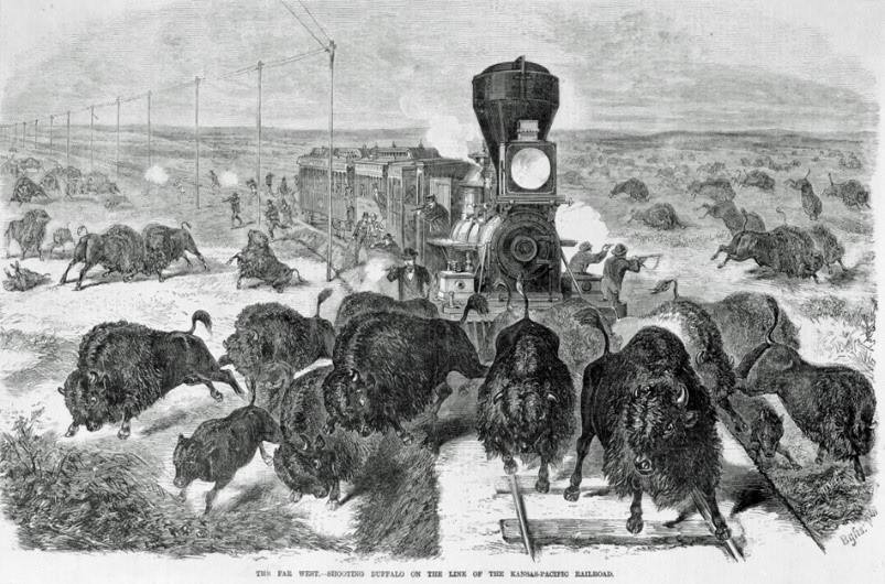 Buffalo hunting from train the Kansas-Pacific railroad 19th century. Photo8.5×11