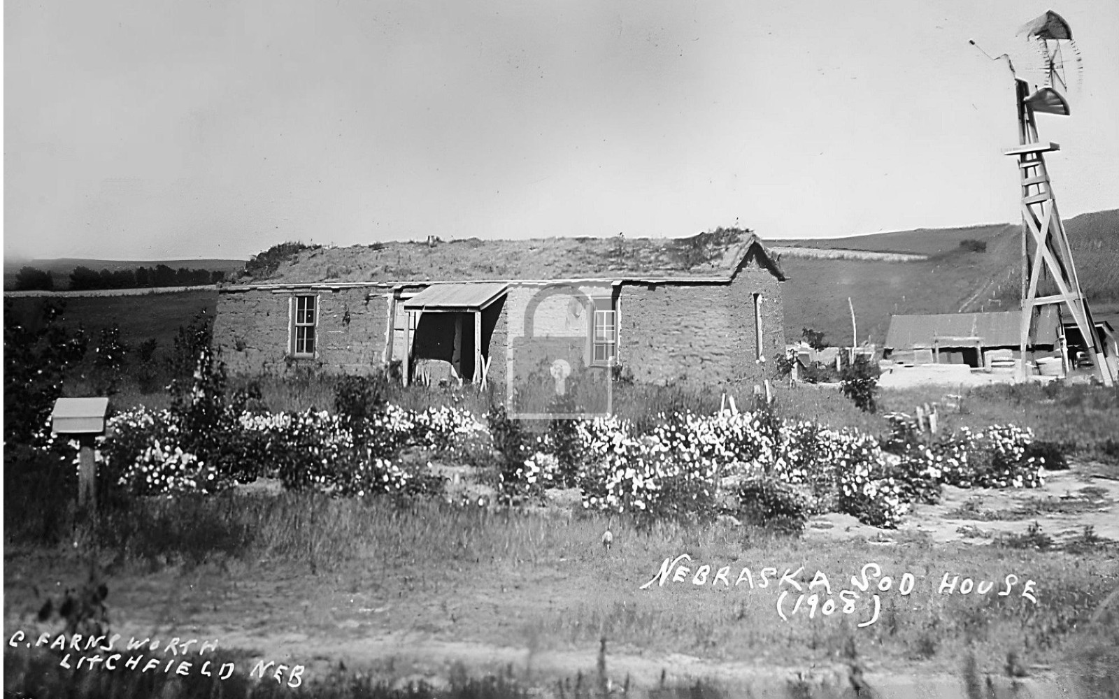 Sod House Litchfield Nebraska NE – Reprint