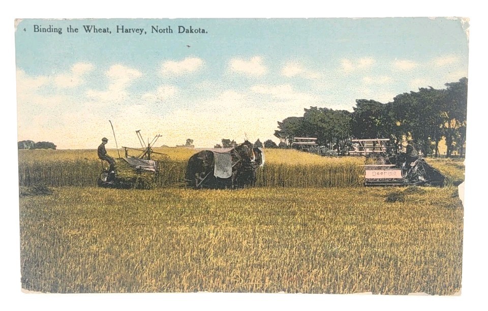 1910 Picture Postcard – Binding The Wheat In Harvey, North Dakota ~ #-8033