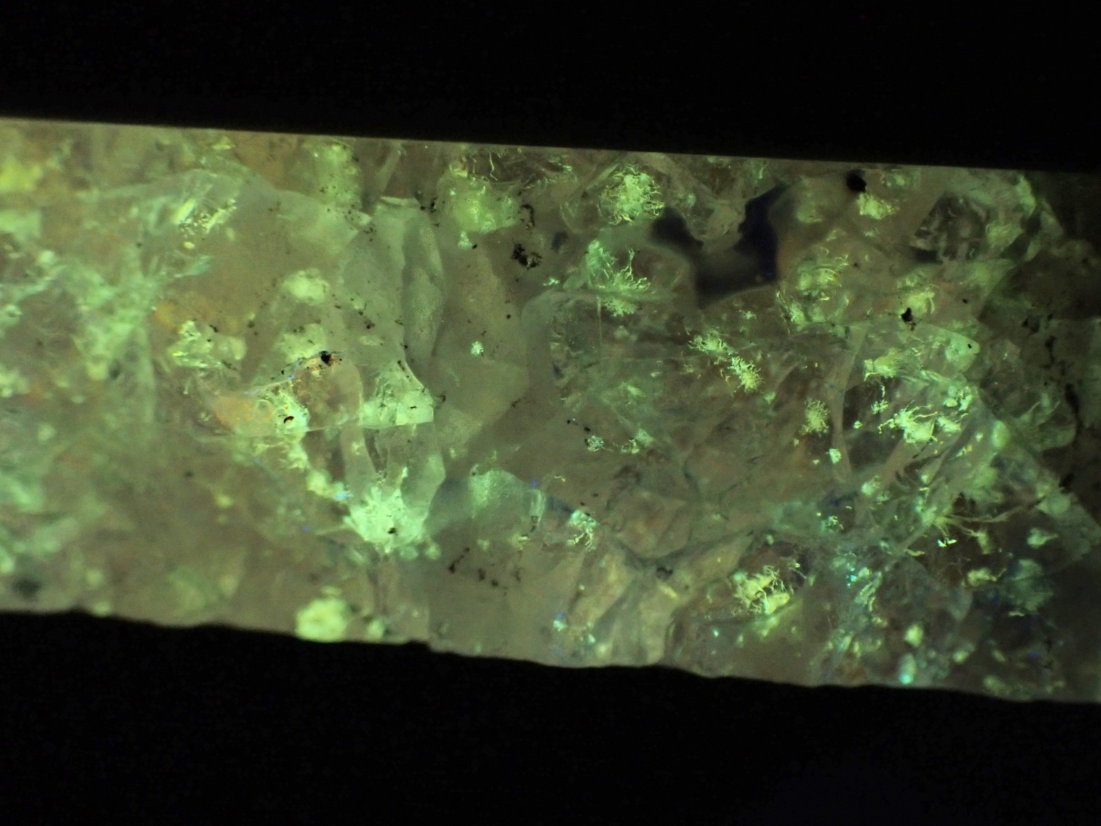 Beautifully fluorescent Hokkaidoite and opals containing organic minerals B239
