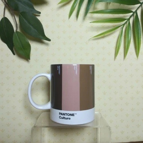 Pantone CULTURE Original Coffee Mug Skin Tones Color Block Swatch Samples