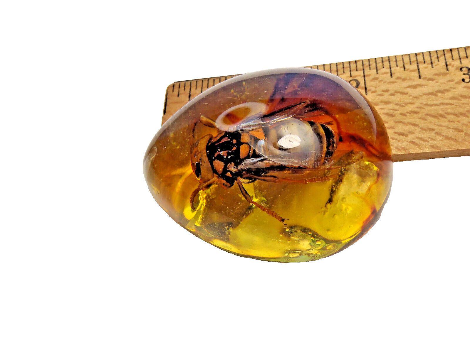 Beautiful Large Artificial Amber With Real Hornet Fossil Insects