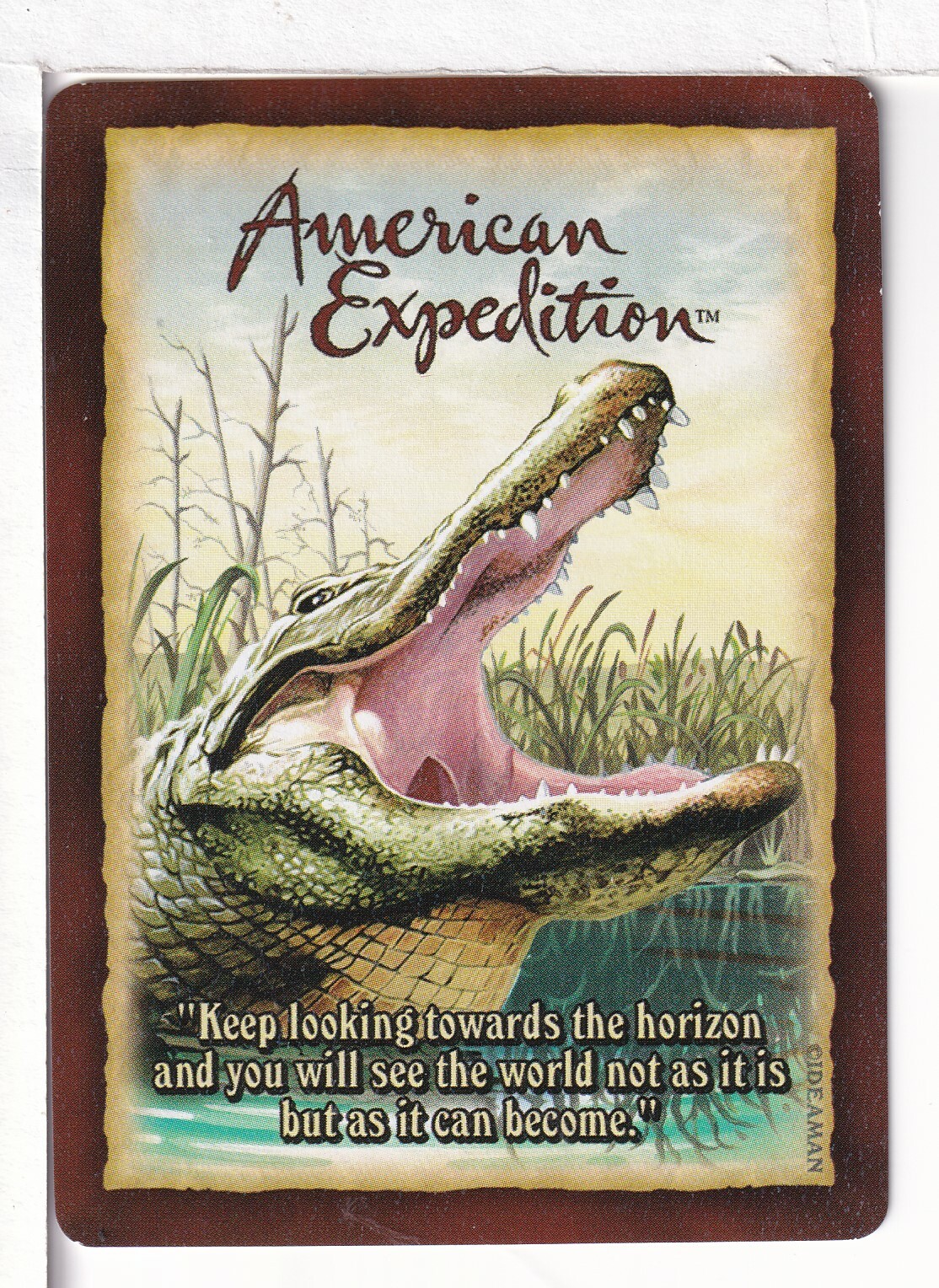 Single Playing Card “The American Alligator” American Expedition, Ideaman, China