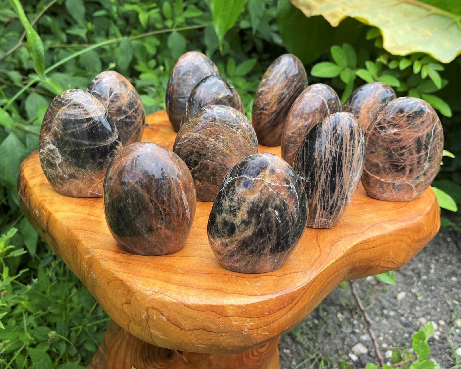 Black Moonstone Freeform – Beautiful Polished Free Standing Display Specimens