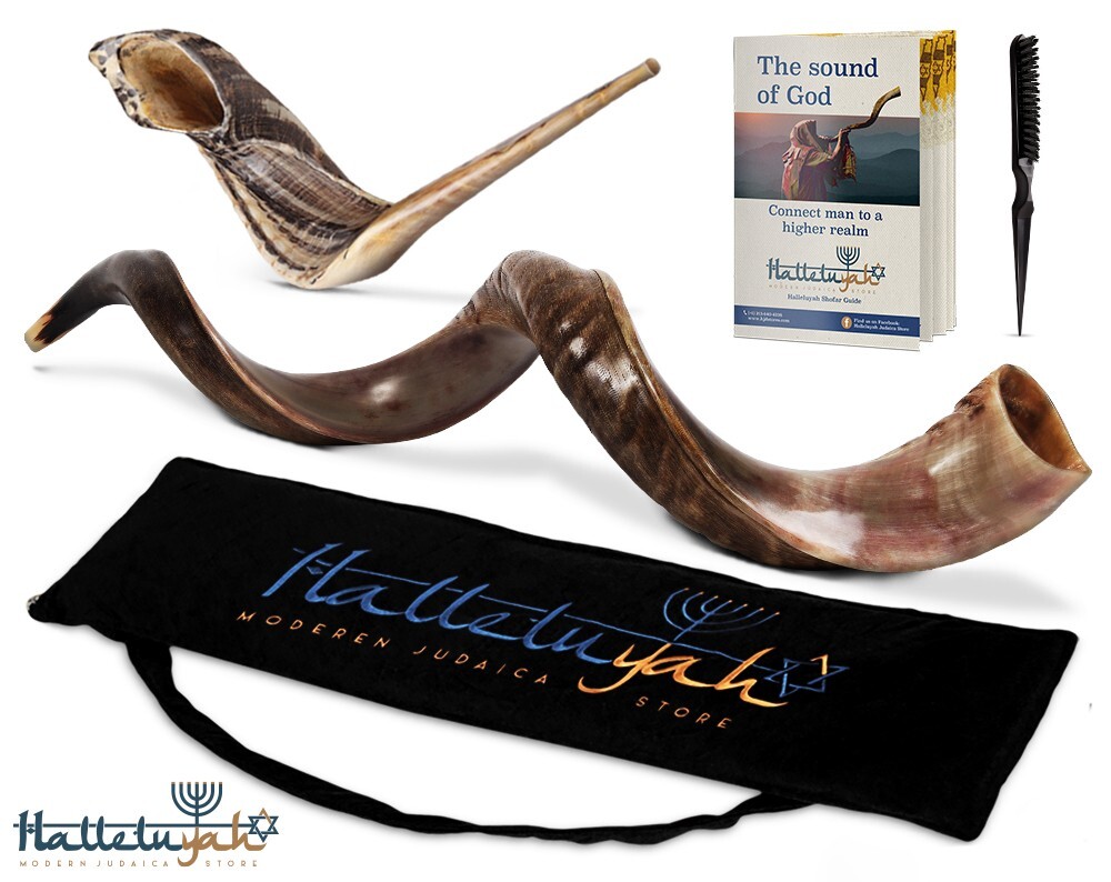 HalleluYAH Shofar Set Yemenite kudu Half Horn Plus Free bonus Ram Horn | 32″-35″