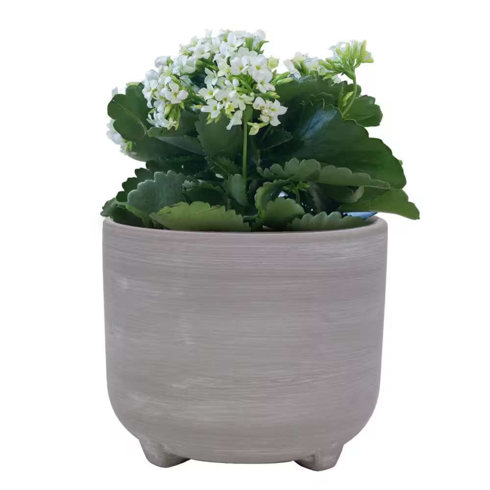 7 In. Ella Grey Ceramic Planter