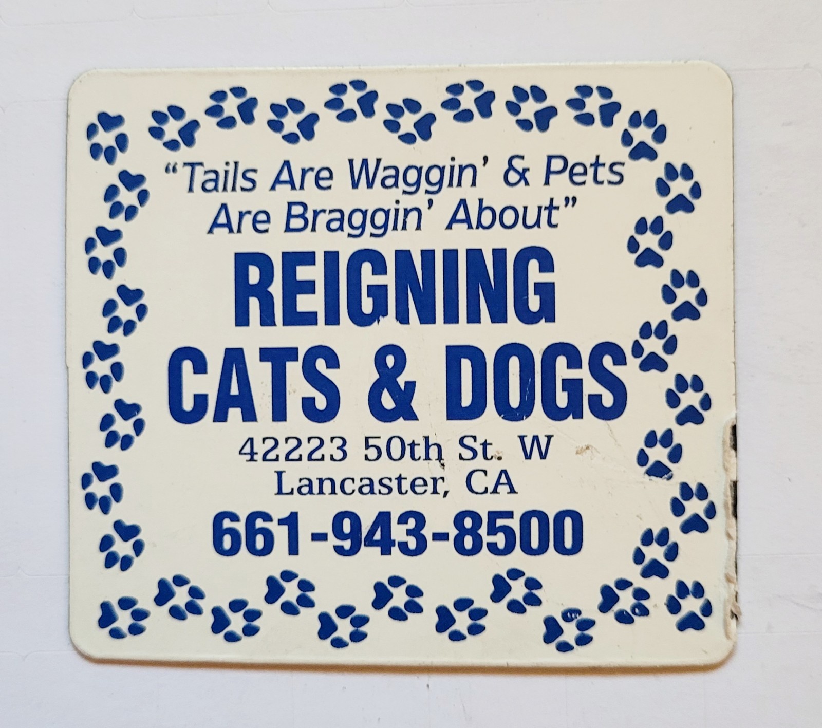 Reigning Cats & Dogs Magnet Commercial Advertising Pet Store Free Shipping