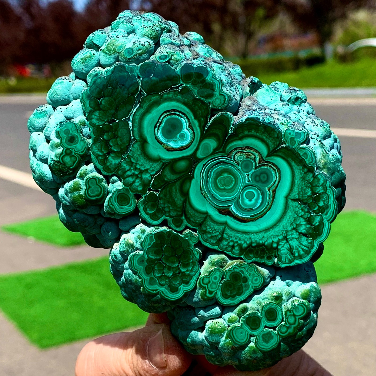 1.34LB Natural Chrysocolla/Malachite transparent cluster rough mineral sample