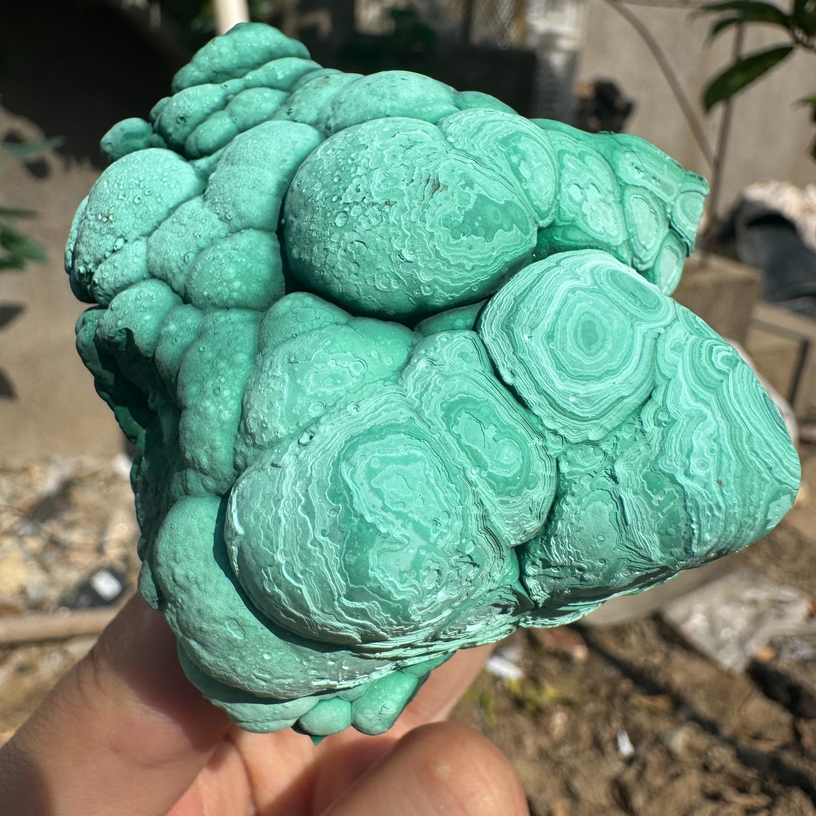 245G Natural Malachite crystal quartz Mineral Specimen Reiki congo