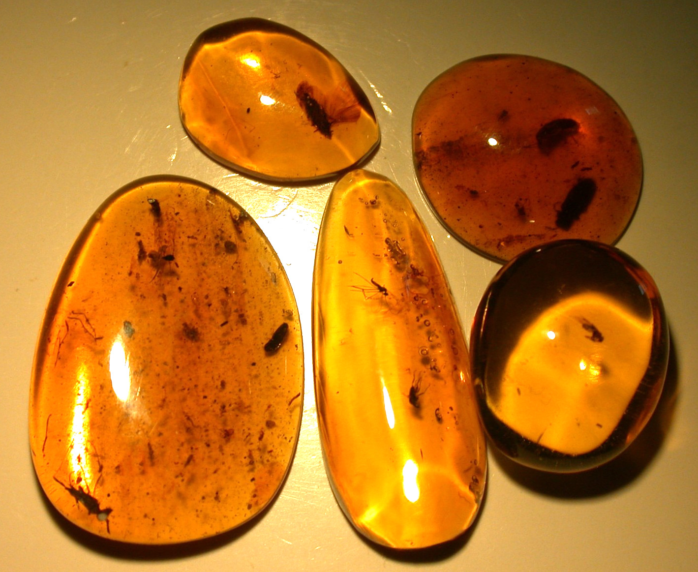 5 Burmese Amber Fossils with Variety of Insects from Dinosaur Age 4.5 g