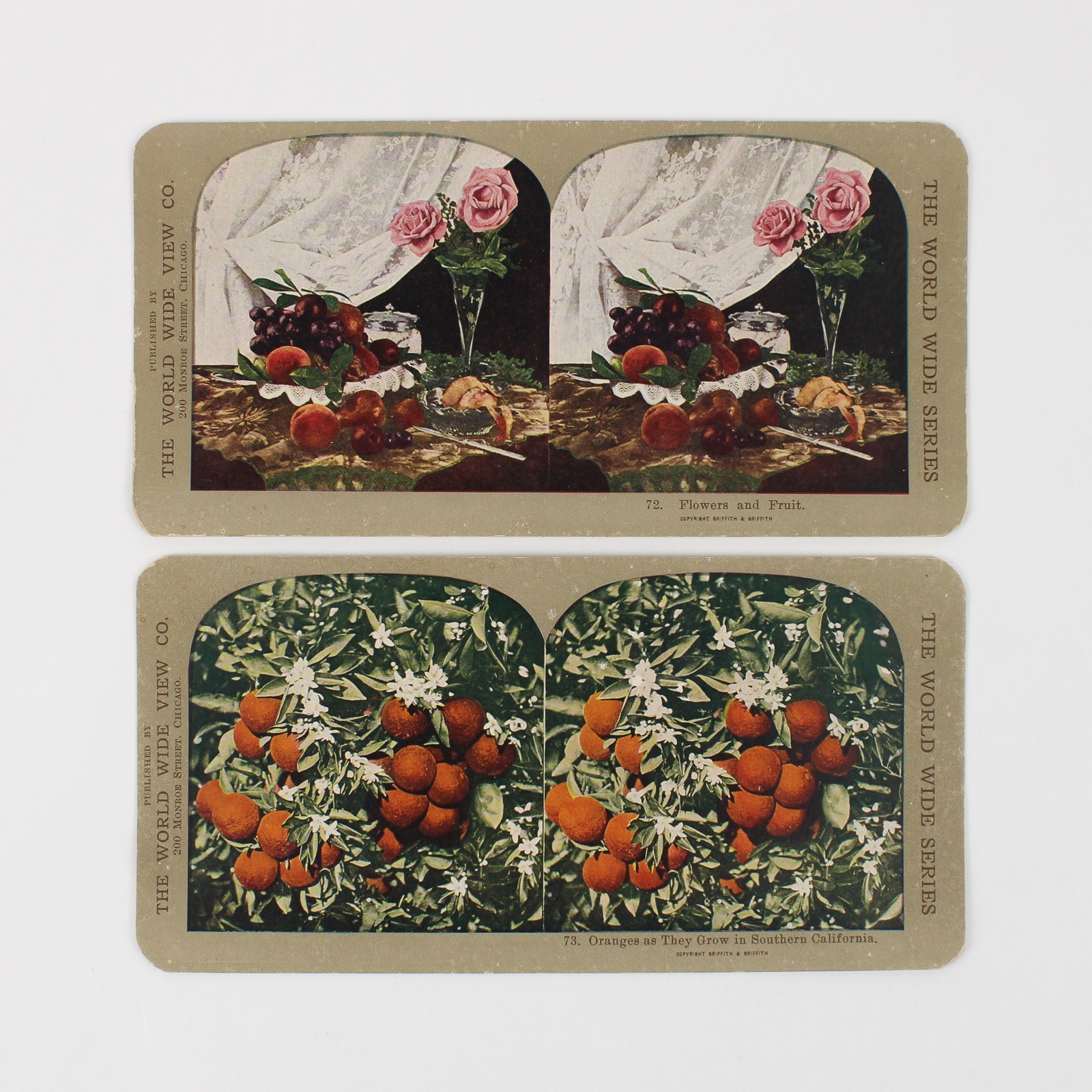 Lot Of 2 World Wide View Co Color Stereoviews California Oranges Flowers Fruit