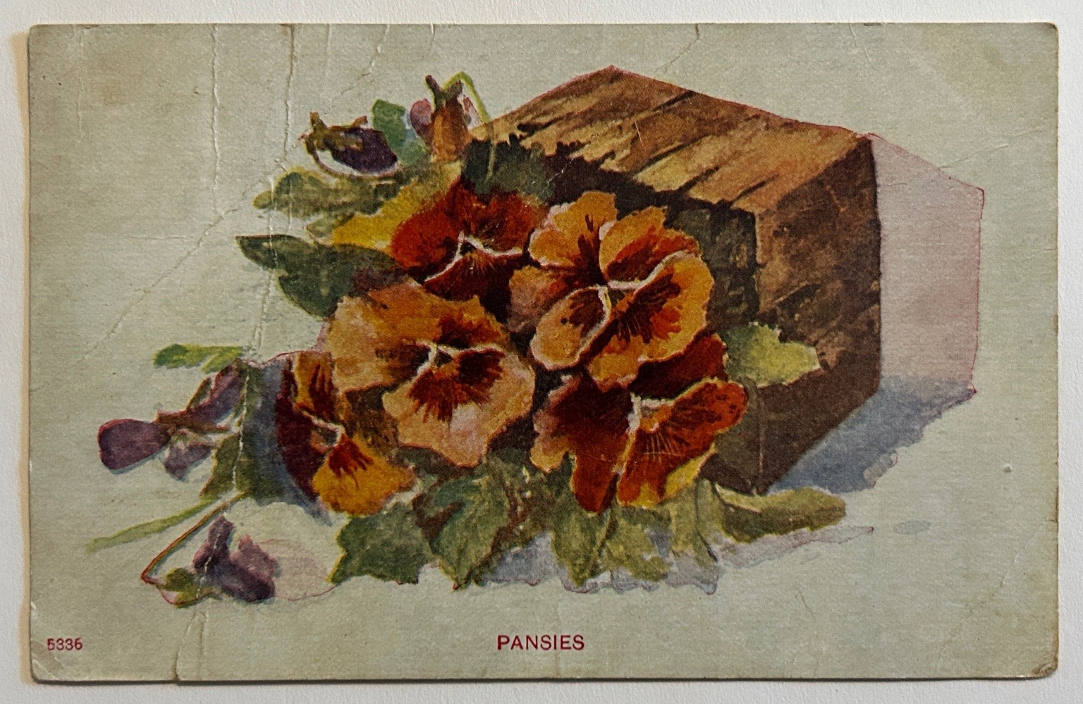 1908 Pansies Postcard Posted Farmington Iowa to Hamilton Illinois Floral