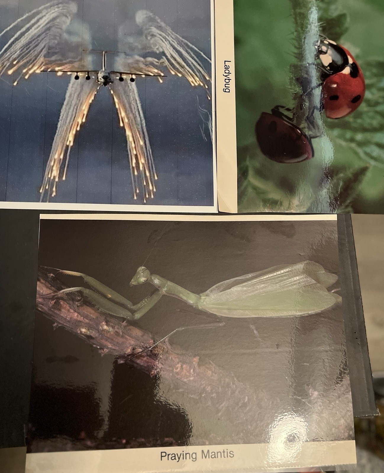 Fast Flying things /Photos Of These 3 Fast Items!