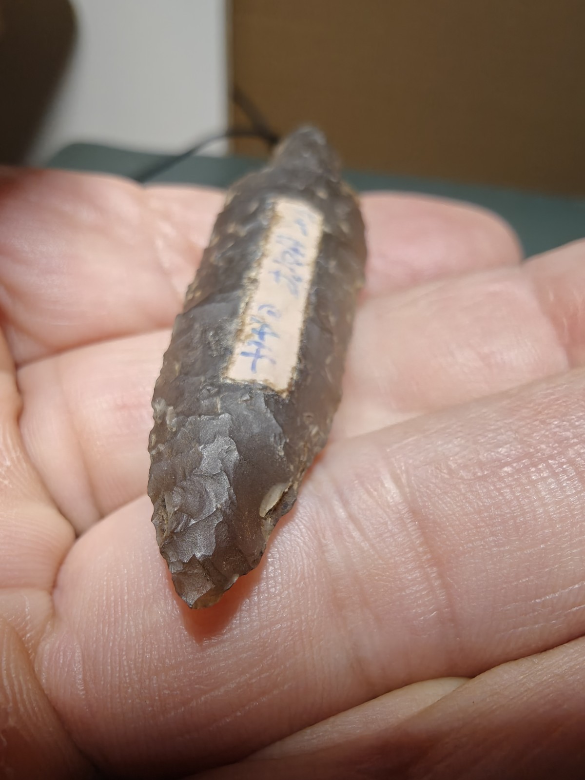 Alaskan Dark Chalcedony Bear Point 2.6″