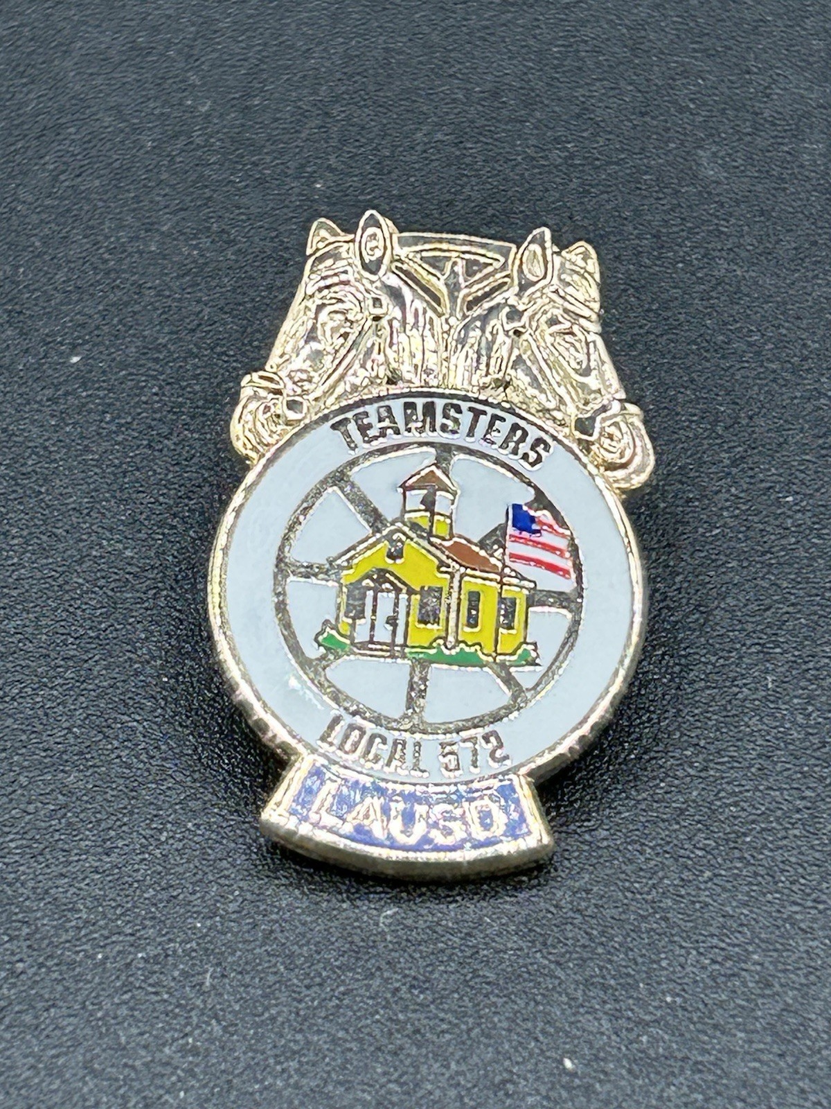 International Brotherhood Of Teamsters Union Pin Teamsters Local 572 LAUSD