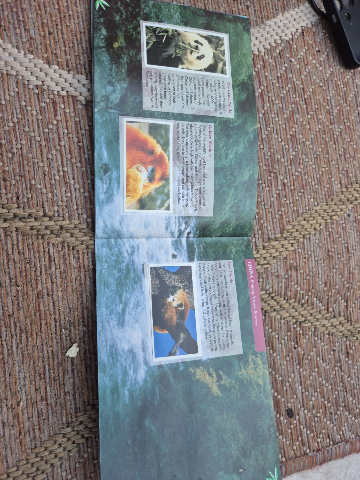 PG TIPS Vintage Natural Neighbours: Wildlife In Tea-growing Lands INCOMPLETE SET