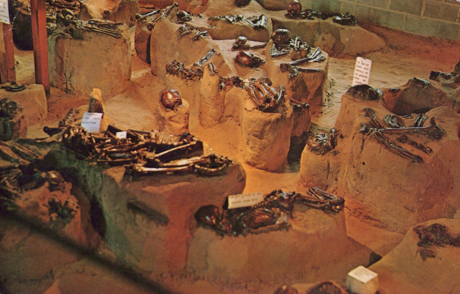 Native Burial Pits Salina Kansas Historical Archaeological Chrome VTG Postcard