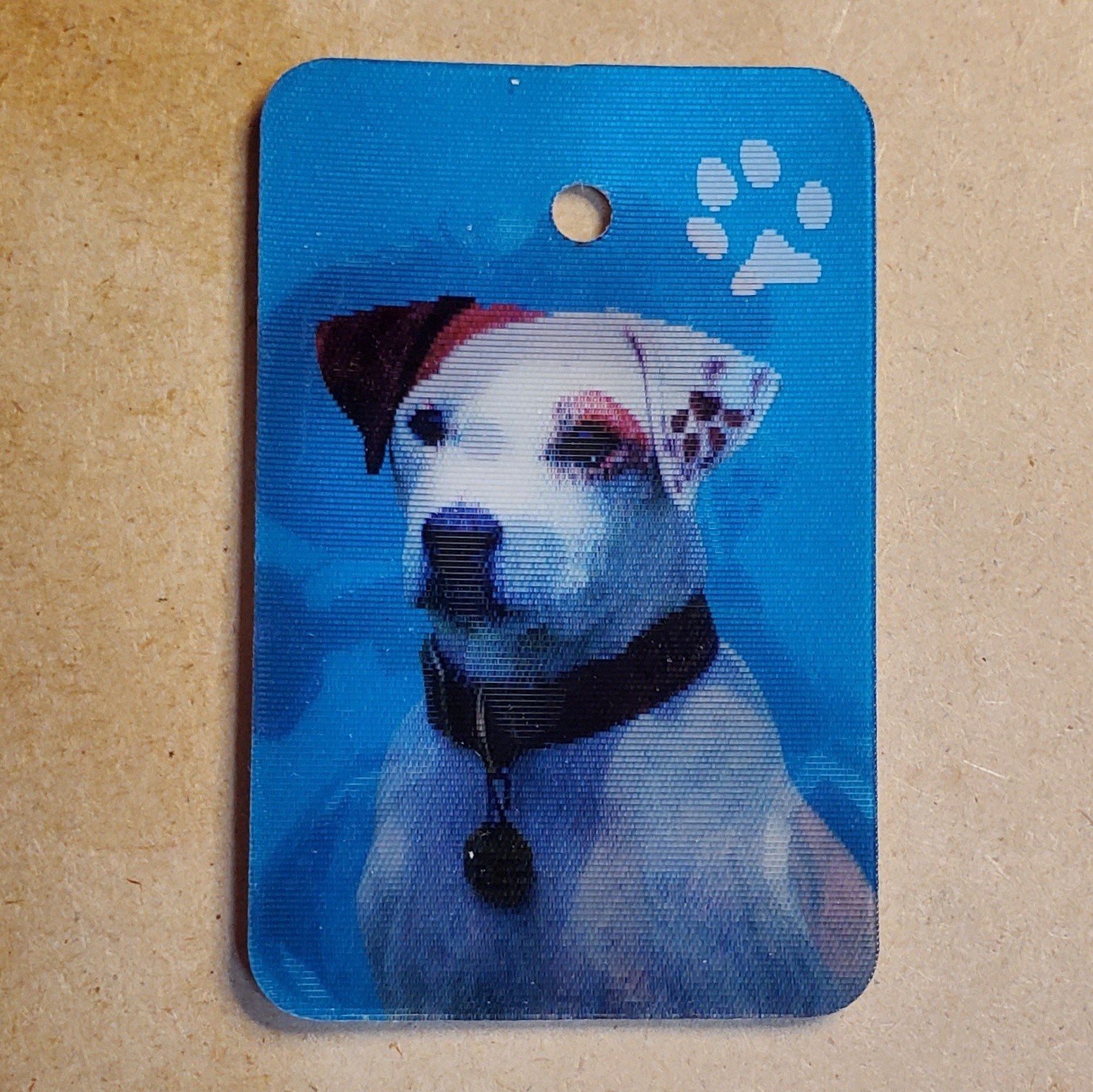 1996 WISHBONE In Romeo &Juliet #2 Lenticular Dog Tag VINTAGE CRACKER JACK PRIZES