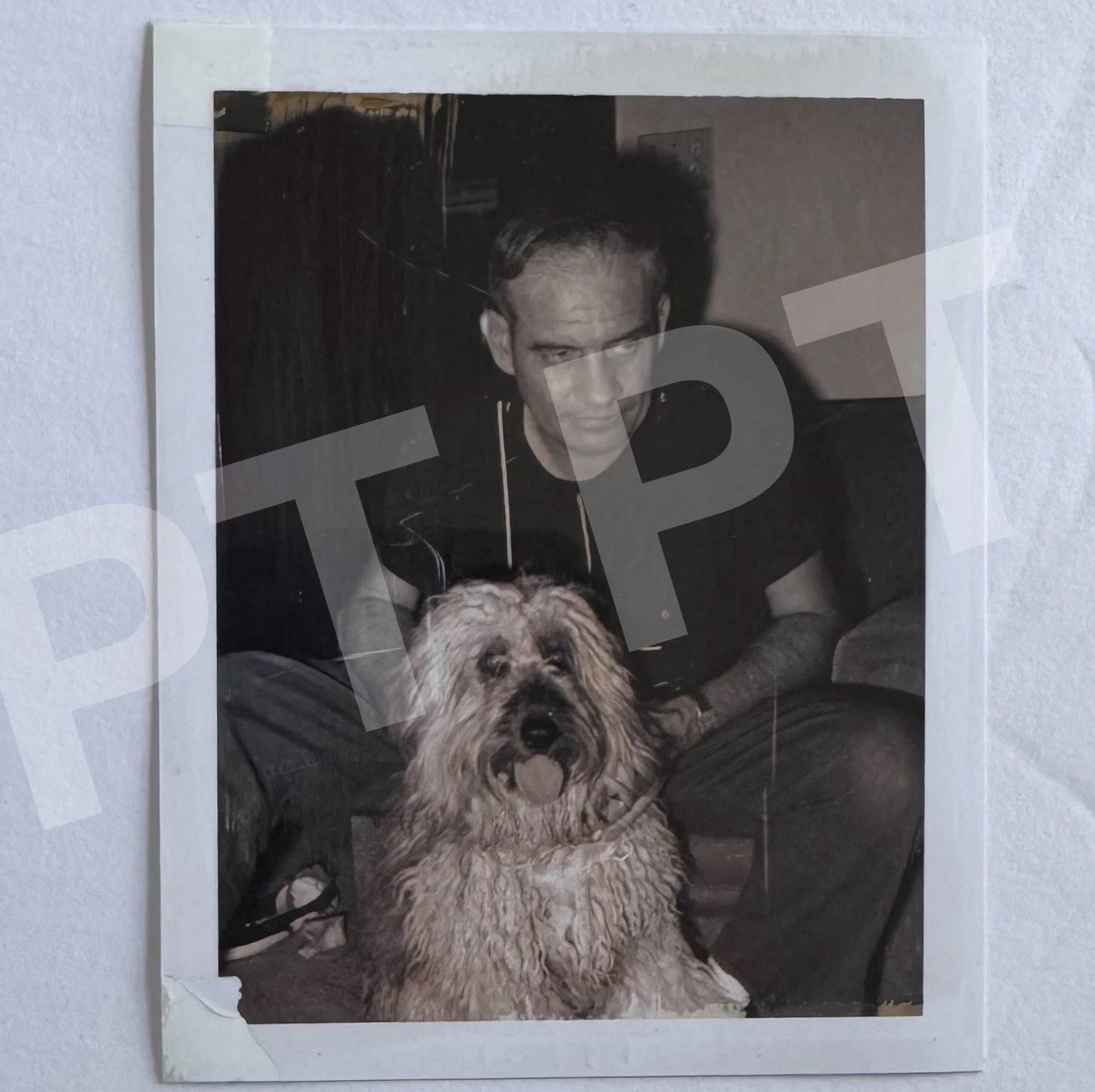 Vtg Photo ADORABLE SHAGGY DOG Named “NIFTY” Sticking His Tongue Out 1969