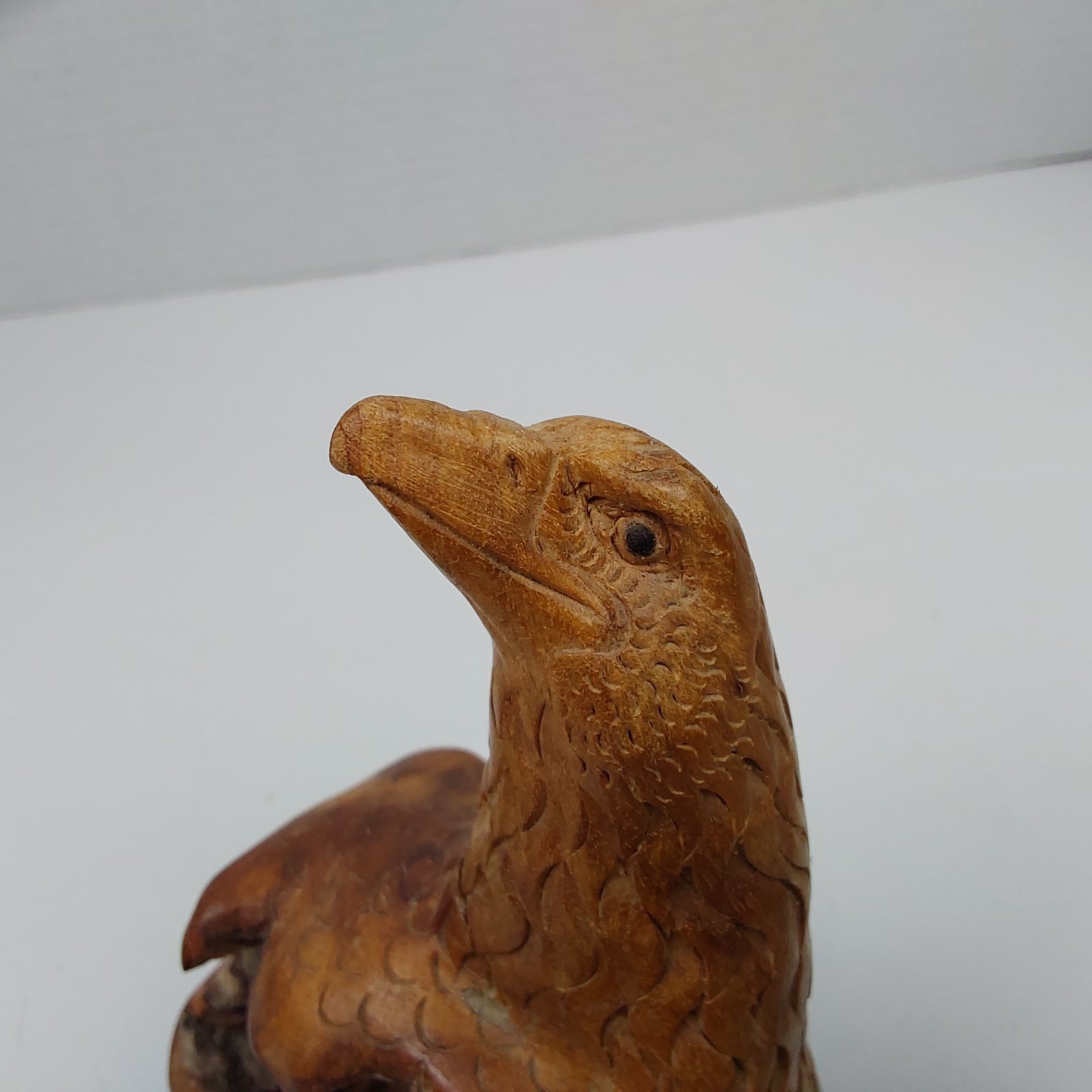 Rare Burl Wood Eagle Bird Handcarved Scupture- Head – See Pics for Condition