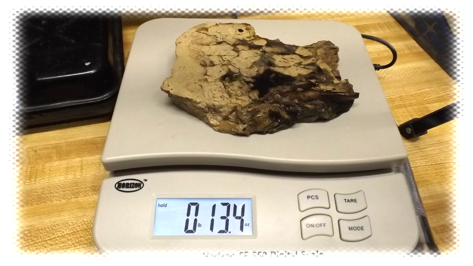 LARGE OPAL ROUGH 13oz 5.5″ VIRGIN VALLEY MONTMORILLONITE STONE w/ FOSSIL WOOD