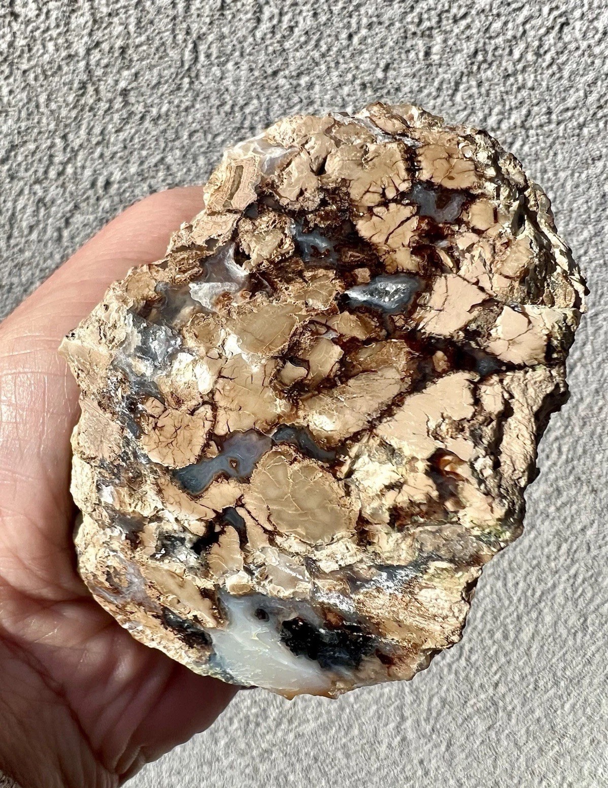188 Gram: Stefoinite Jasper with Chalcedony & Drusy Quartz Polished from Wyoming