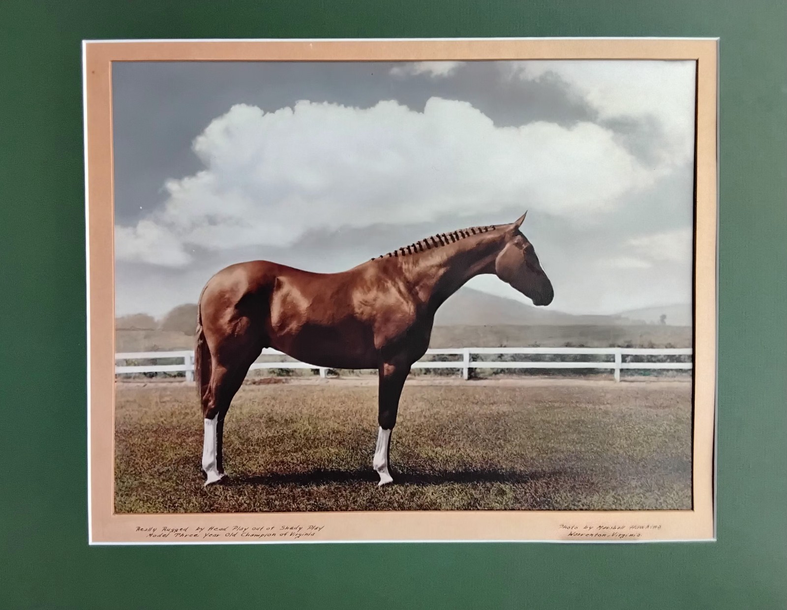 Original Marshall P Hawkins Hand-Color Photo “REALLY RUGGED” Warrington VA 1960s