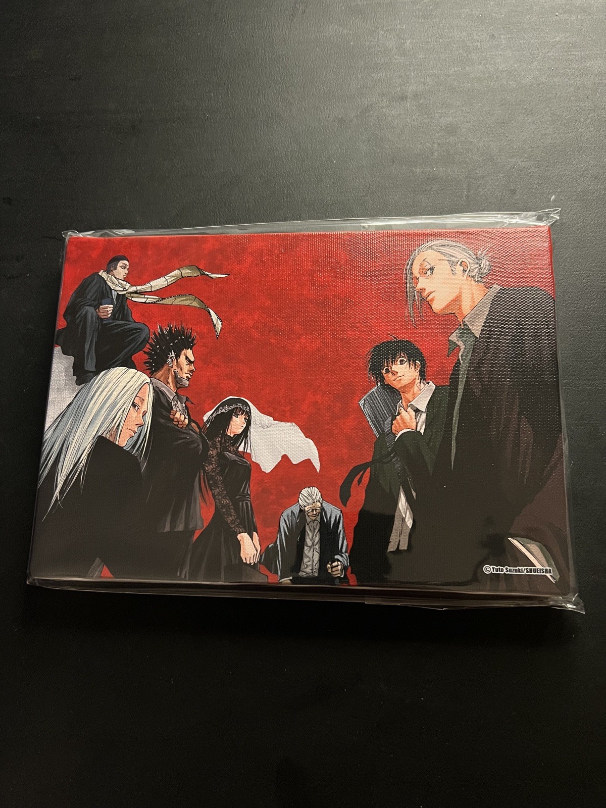 Sakamoto Days Color Canvas Art Board Manga Anime Collectible Shonen Jump Store