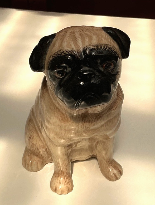 RARE Quail Ceramic Pug Dog Money Box. Free UK Postage