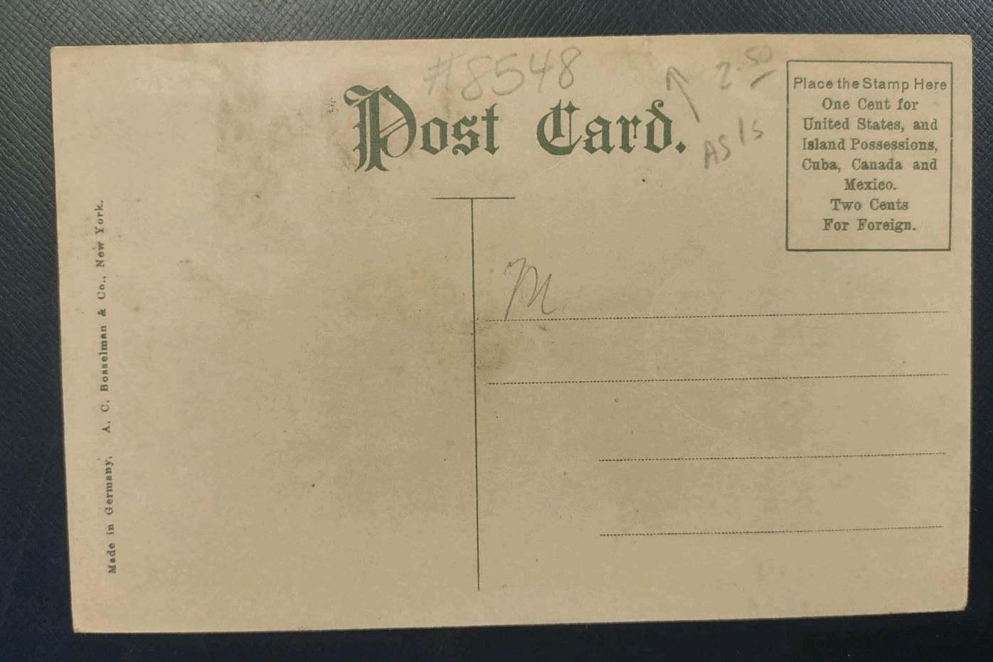 2 Views 1907 US Gov Building Jamestown Exposition VA Expo Postcard AC Bosselman