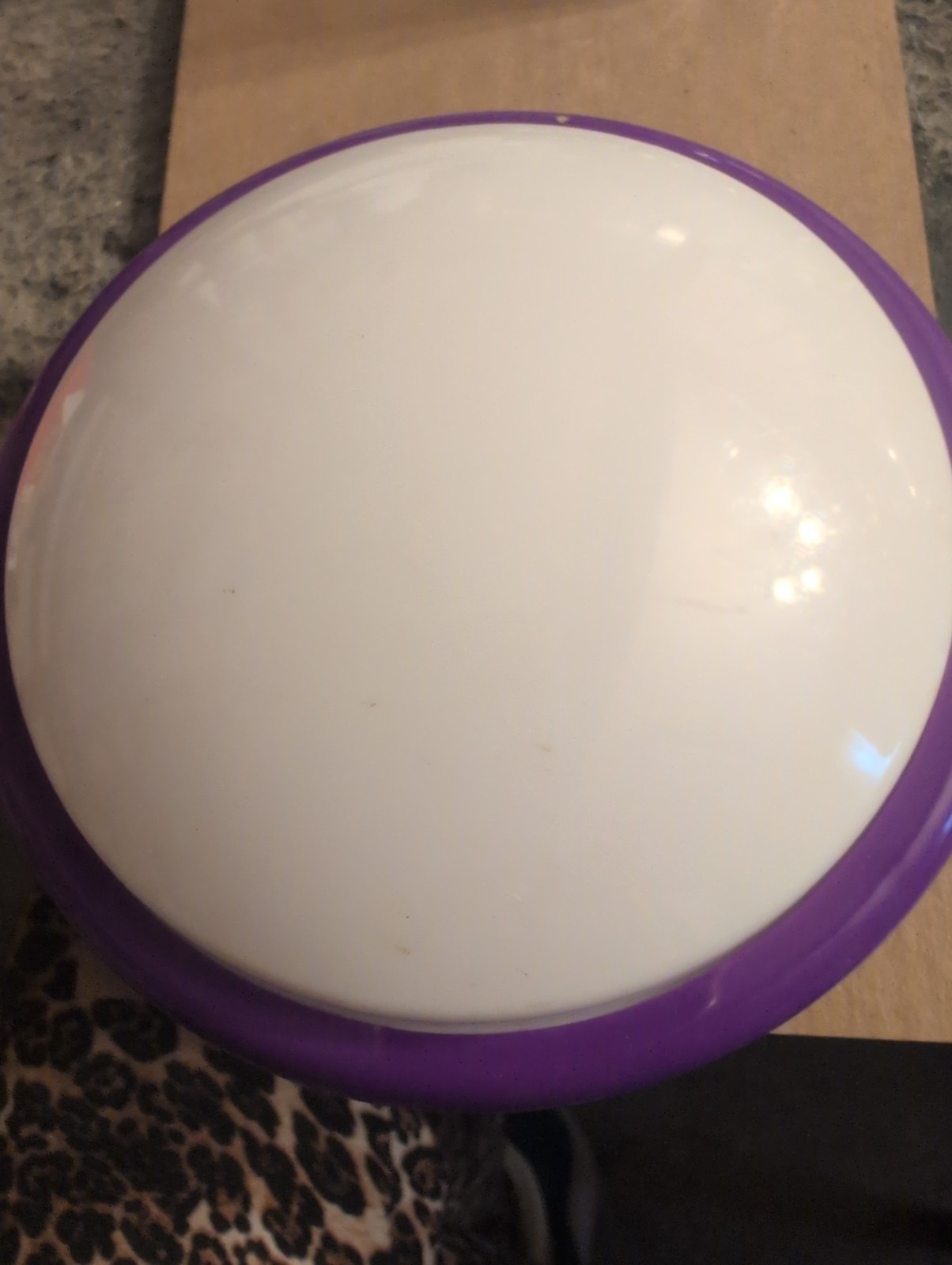 Vintage Purple And White Plastic Unbranded Battery Operated Light