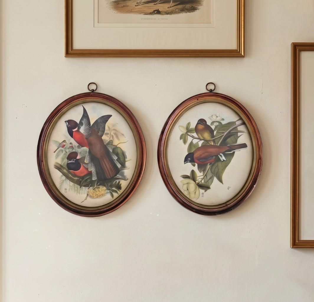 VTG Hope Novelty Co Detroit Oval Bird Prints Wood Frames Set of 2 6.5″ x 7.5″