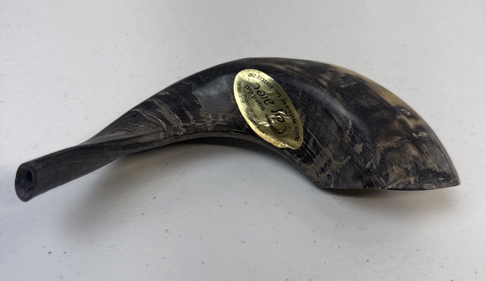 Shofarot-Israel Kosher Ram’s Horn Shofar