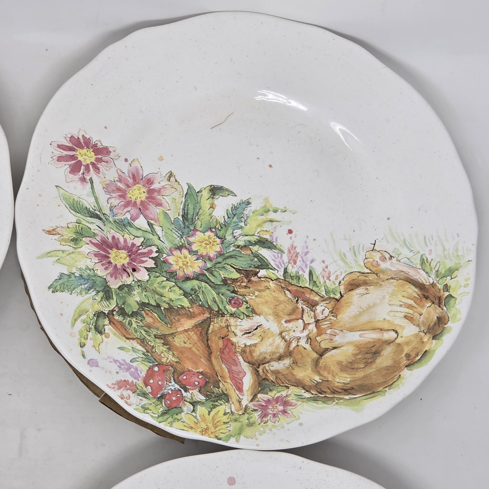 Pier 1 Easter 8.6″ Salad Plates Set of 4 Bunny Rabbit Flower Garden Boxed Set