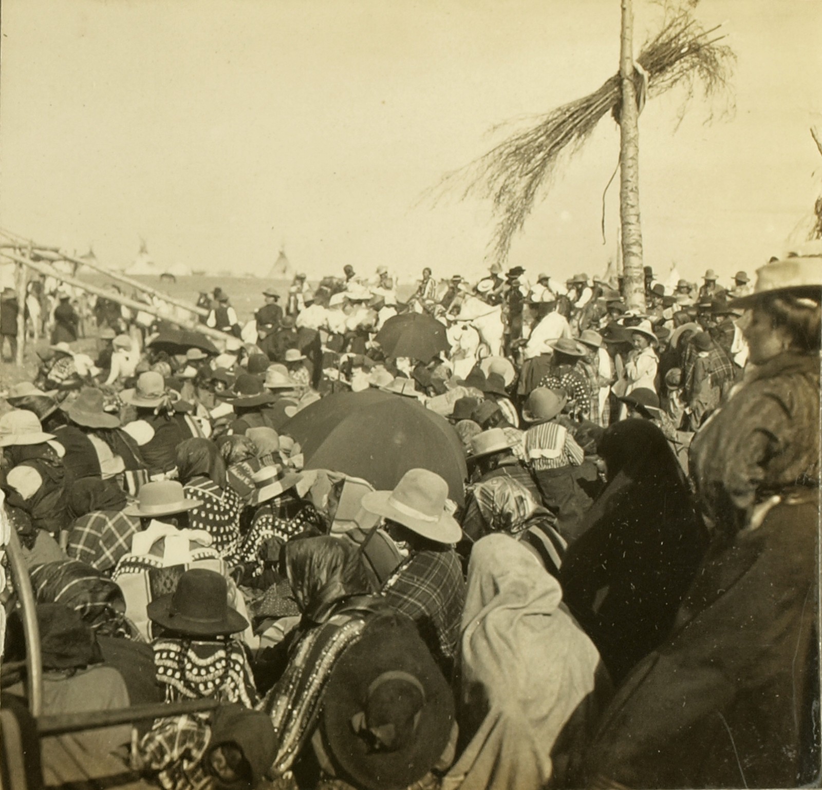 N A Forsyth Stereoview Blackfeet Indians Watching Raising of Sun Lodge MHS #329