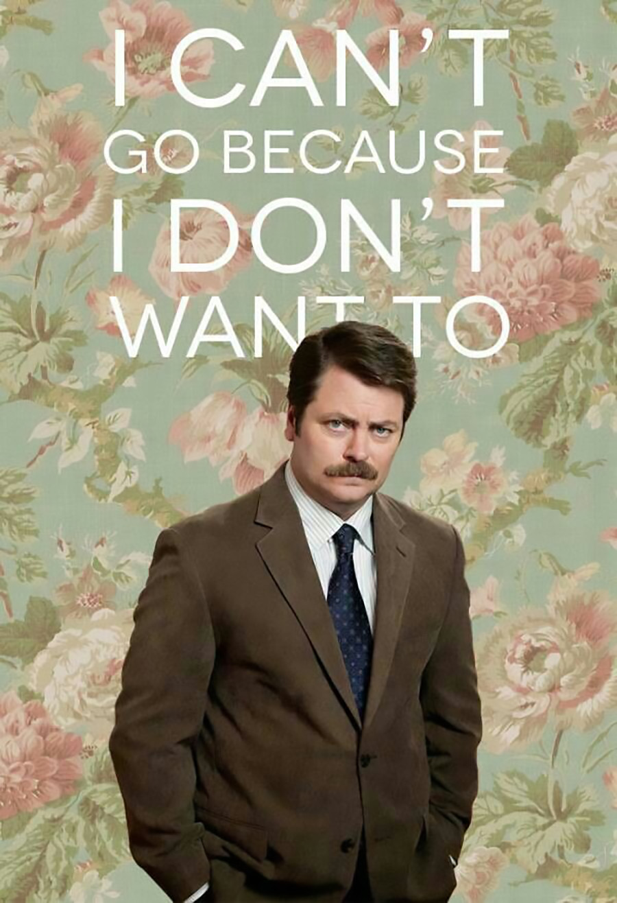 Ron Swanson Parks and Rec Funny Silly High Quality Magnet 3 in by 4 in 1125