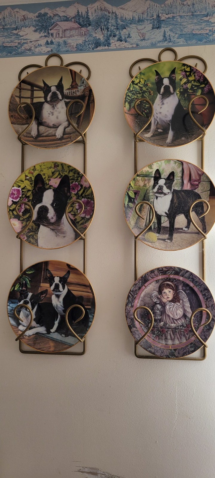 Boston Terrier Dog Collector Plate Lot of 5, Decorative Multicolor Round Ceramic