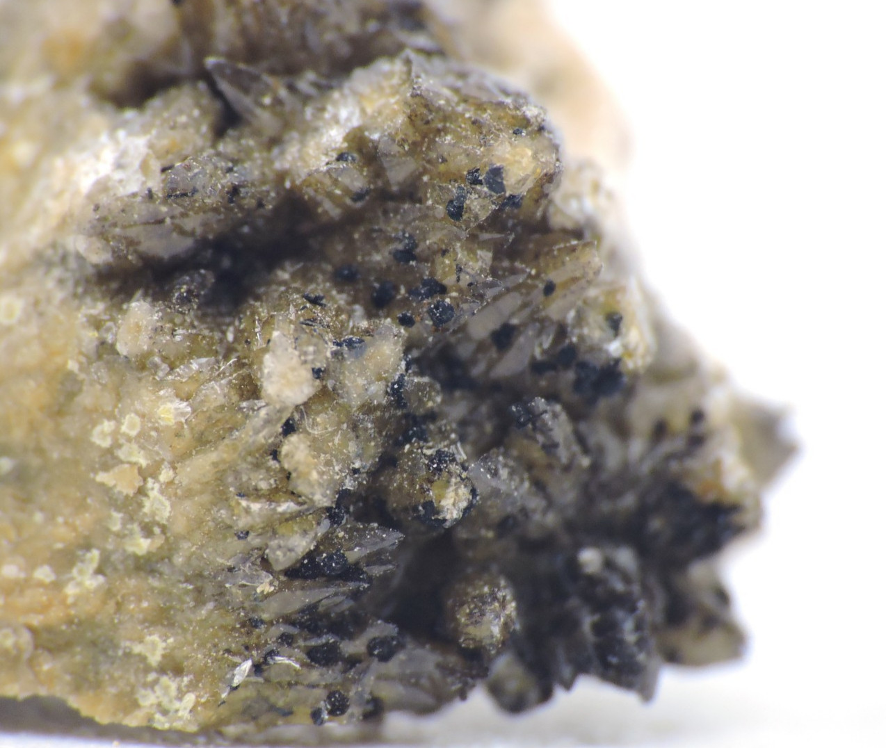 Quartz Micromount Mineral Specimen *Goanikontes, Namibia*