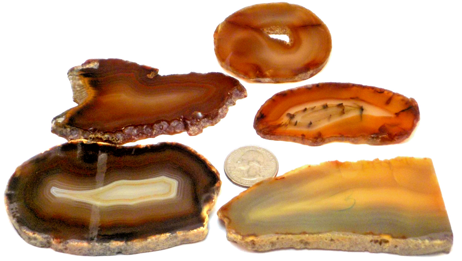5 Fabulous Agates Total 8.2 Ounces 1st 5 Pictures Wet #3665