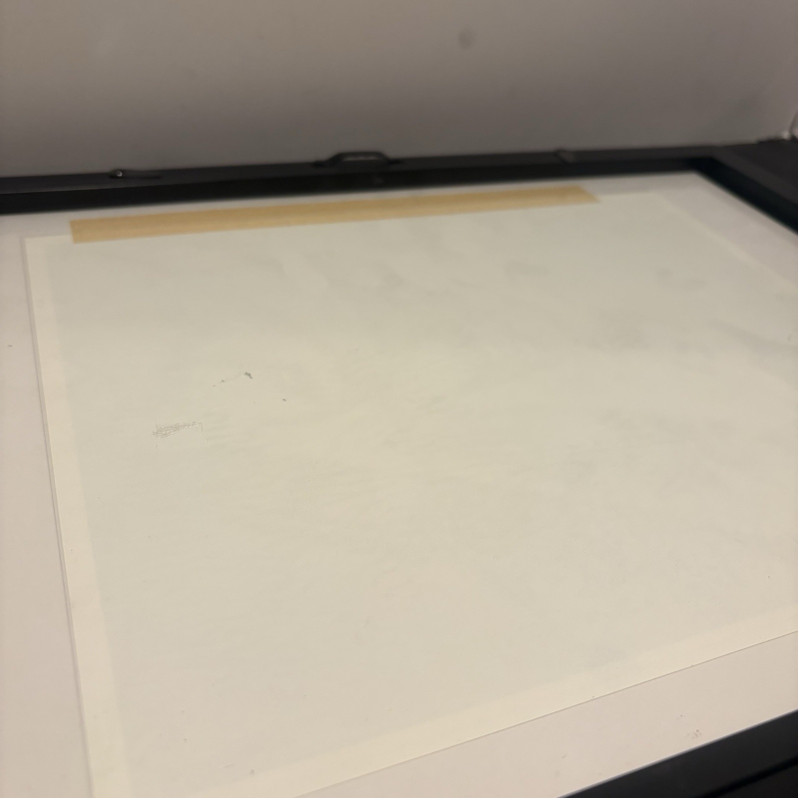 Animaniacs Special Sericel, Yakko, Wakko, Dot Framed Cel Warner Bros.