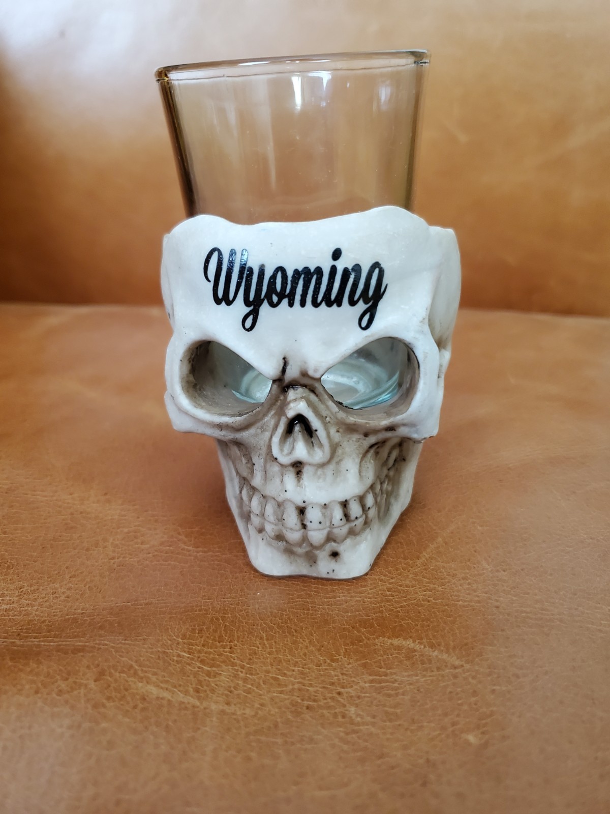 Skull head Shot glass Ceramic Resin Bone Color clear insert Wyoming barware deco