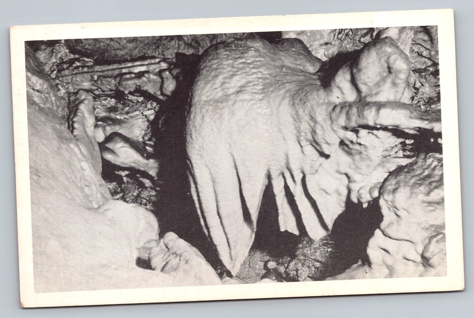 Onyx Cave Conch Shell Formation Hamburg Pennsylvania PA Vintage Postcard