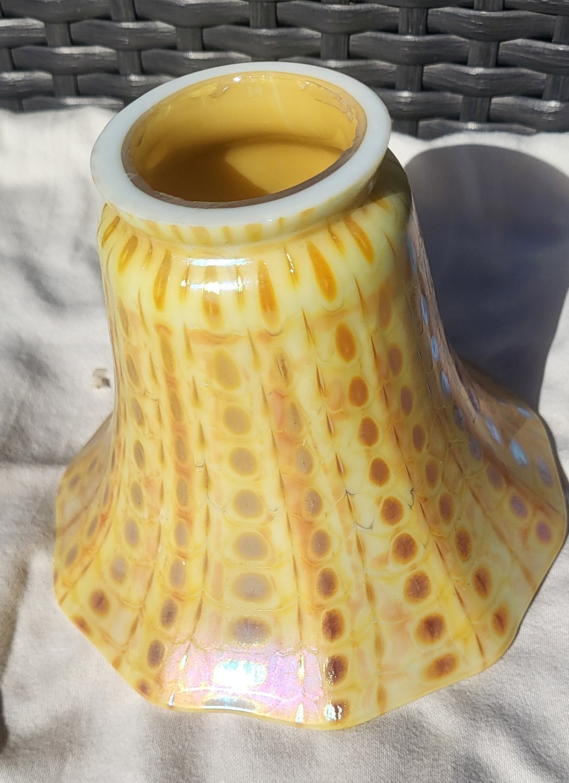 Gold Zipper Pattern 2.25 Fitter Art Glass Hand Blown Pair Of Shades 4.5 In. Tall