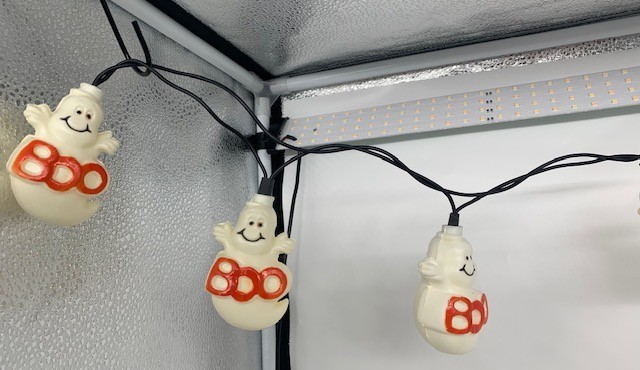 10 BOO GHOSTS String Lights Halloween Blow Mold Plastic Indoor/Outdoor Orig Box