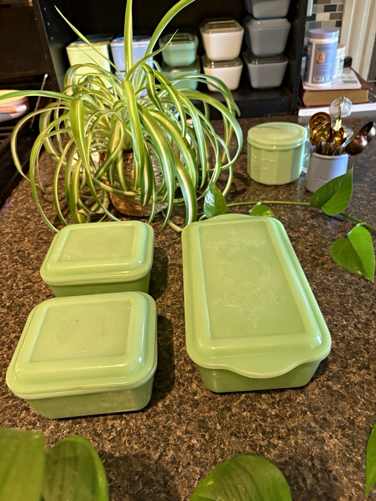jadeite – fireking (Philibe) Storage Container Set w/ Lids, 6-Piece complete set